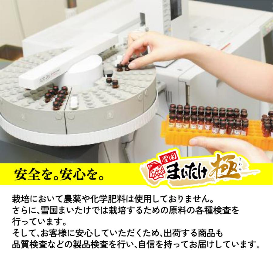 雪国まいたけ 舞茸 極(きわみ) 新潟県産 850g 大株 無農薬 化学肥料不