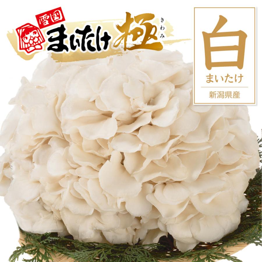 雪国まいたけ 白舞茸 極(きわみ) 新潟県産 800g 大株 無農薬 化学肥料