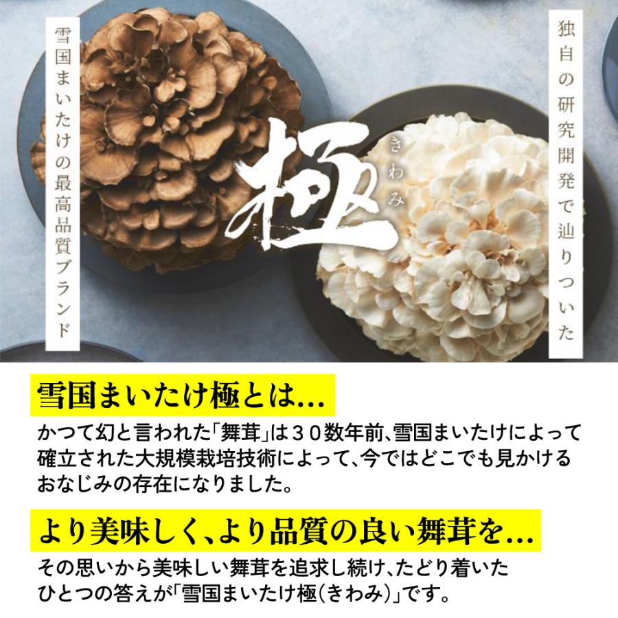 2袋セット 白舞茸 極(きわみ) 新潟県産 800g×2 雪国まいたけ 大株 無農薬 化学肥料 不使用 ギフト まいたけ 大容量 国産 父の日 2024｜n-manpuku｜02