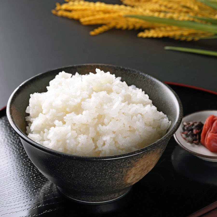 コシヒカリ 【無洗米】 令和7年産 米 5kg こしひかり 新潟産 諸長 爆買 