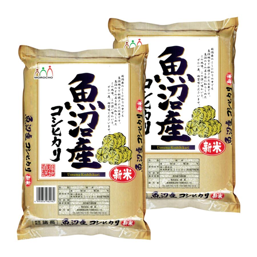 おまけ増量　新潟こしひかり　5kg×2　10kg 食品 おまけ増量 新潟こしひかり 5kg×2 10kg