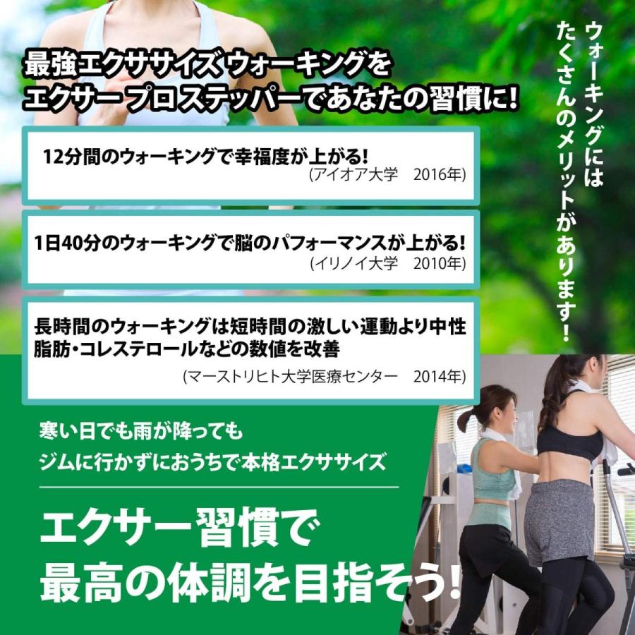 Xiser Pro Trainer エクサー プロ ステッパー Stepper シルバー 日本