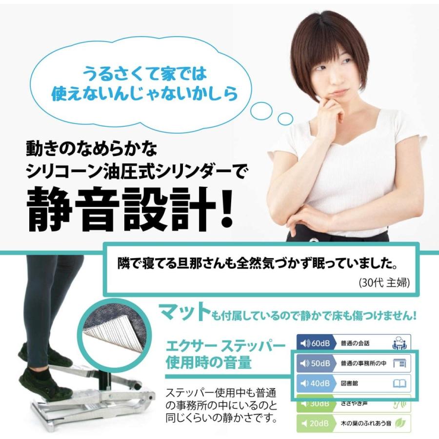 Xiser Pro Trainer エクサー プロ ステッパー Stepper シルバー 日本