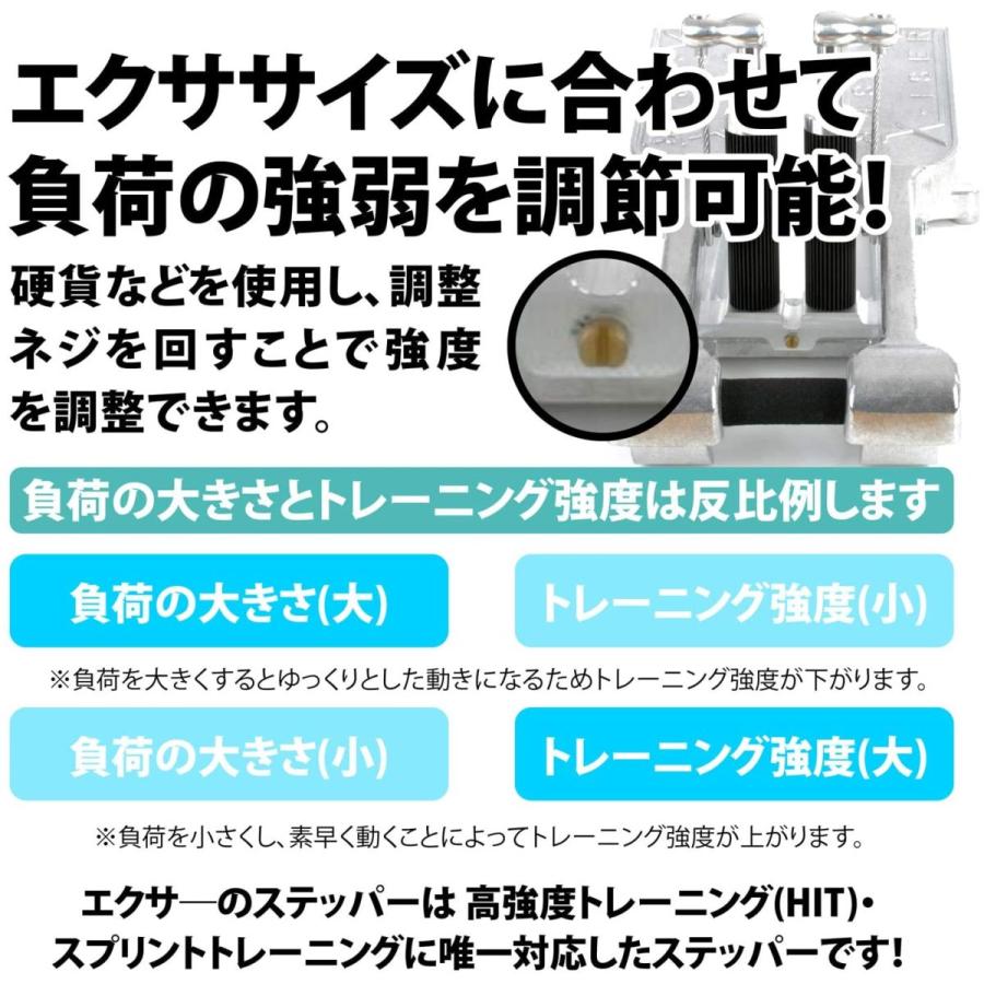Xiser Pro Trainer エクサー プロ ステッパー Stepper シルバー 日本