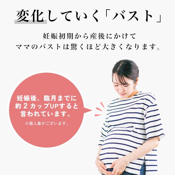 授乳ブラ ノンワイヤー フロントオープン 前開き レディース インナー 延長ホック付 マタニティ ブラジャー 産前 産後 大きいサイズ 快適 送料無料｜n-martmens｜03