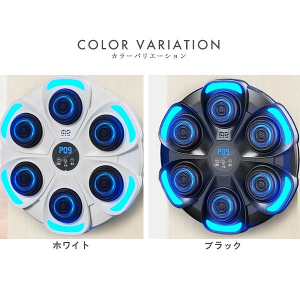 サカゼン ボクシングエクササイズセット サカゼン ボクシングエクササイズセット サカゼン ボクシング