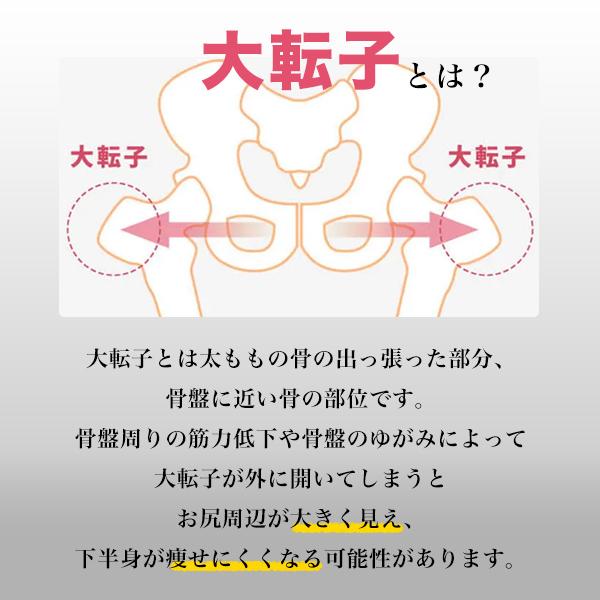 骨盤ベルト 骨盤 骨盤矯正 骨盤ガードル 骨盤ショーツ お腹引き締め