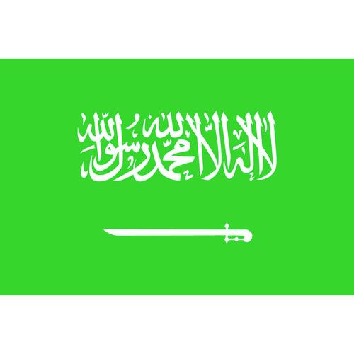 現品限り一斉値下げ 東京製旗 国旗ｎｏ ２ ９０ １３５ｃｍ サウジアラビア 7 39 その他diy 業務 産業用品 Raffles Mn
