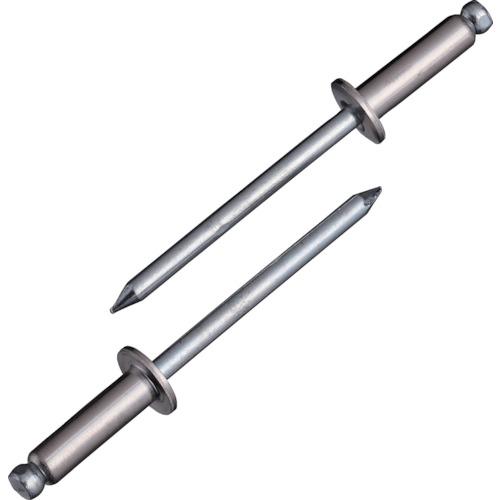 ロブテックス エビ ブラインドリベット（ステンレス／スティール製） ８−６（１００本入） エコＢＯＸ NSS 8-6EB