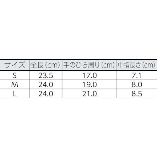 川西 ビニール使いきり手袋 粉なし  Ｌサイズ （１００枚入） 2023-L  【818-6277】｜n-nishiki｜02