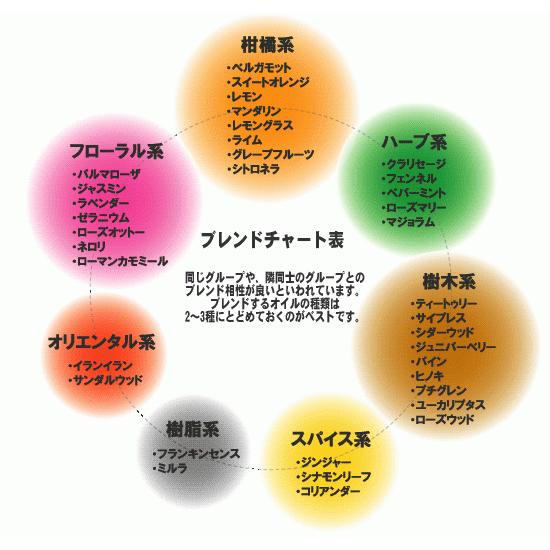 グローバルプロダクトプランニング (在庫限り)( 100% ピュア