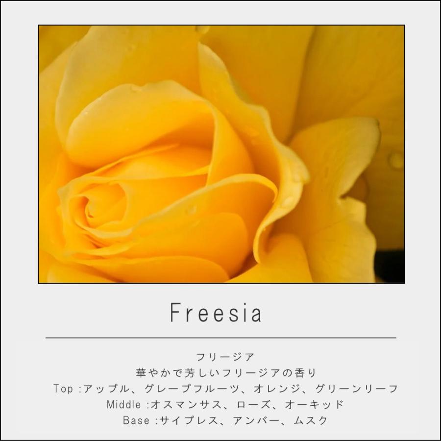 (在庫限り)( ART LAB. COLLECTION リードディフューザー ) アートラボ 正規品 取扱店 消臭 芳香剤 リビング 玄関 寝室 おしゃれ シンプル ナチュラル | ARTLAB.COLLECTION | 21