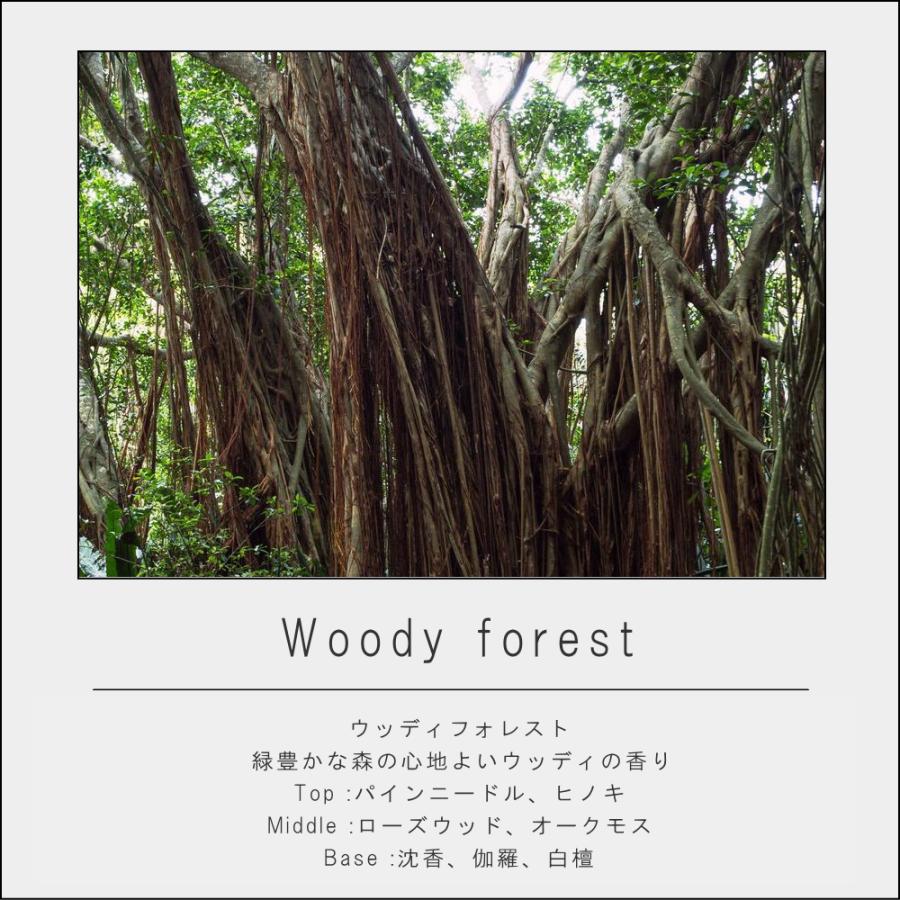 (在庫限り)( ART LAB. COLLECTION リードディフューザー ) アートラボ 正規品 取扱店 消臭 芳香剤 リビング 玄関 寝室 おしゃれ シンプル ナチュラル | ARTLAB.COLLECTION | 23