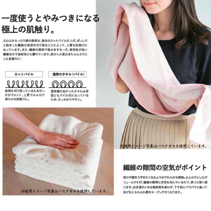 もっちり フェイス タオル カラリ アース Br Carari Earth 80 30 ふわふわ ふんわり マイクロファイバー 柔らか 吸水 速乾 通気 Carari Earth Face Towel ラフィネ キッチン 生活雑貨 通販 Yahoo ショッピング
