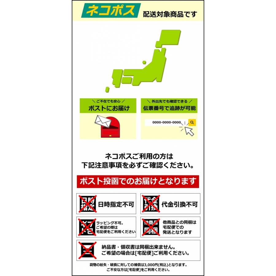 10%OFFクーポン)( GONESH ガーネッシュ インセンススティック お香 100