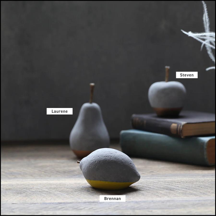 在庫限り)( 有機質と無機質を組み合わせた 果物のオブジェ