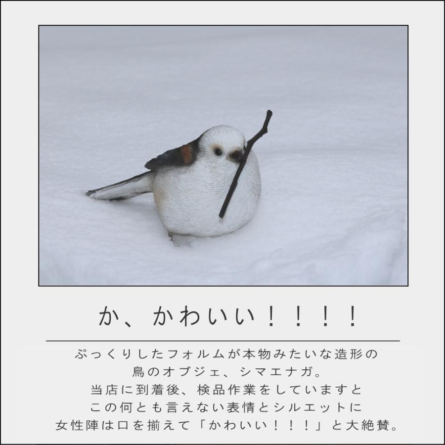 ポイント10倍)( リアルなシマエナガのオブジェ ) シマエナガ 鳥