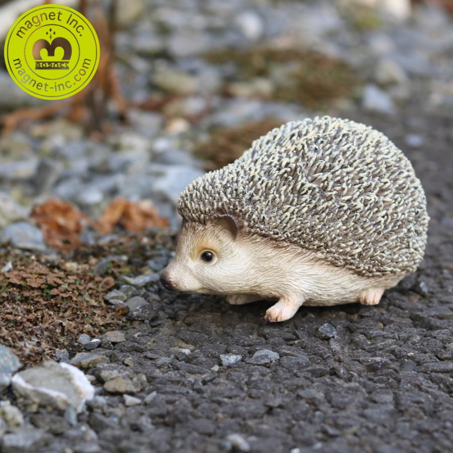 ハリネズミのお役立ち貯金箱 PET BANK HEDGEHOG ペットバンク ヘッジ 