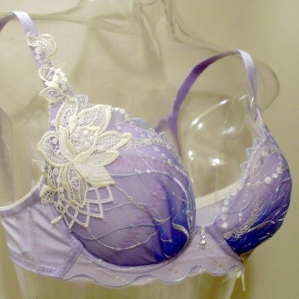 ランジェリー ブラジャー 3 4カップ D ワコール サルート 17春 ６５グループ 045 Btj465d エヌ ショッピング 仲見世商店街 通販 Yahoo ショッピング
