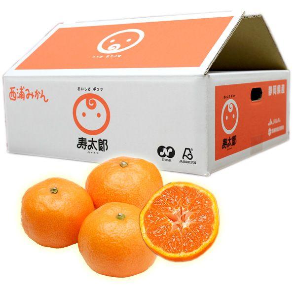 寿太郎みかん ｓサイズ ５ｋｇ 産地直送 ブランドみかん 静岡 沼津 箱買い 051 Jm 02 エヌ ショッピング 仲見世商店街 通販 Yahoo ショッピング