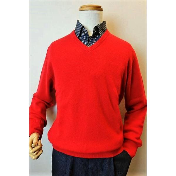 新規購入 レッド 日本製カシミヤセーター ジーゲラン セール５０ ｏｆｆ 送料無料 翌日着荷可 ラストブランドセール ジーゲラン 秋冬アウトレット現品限り品 Geegellan メンズウェア トップス Pharmacon Uz