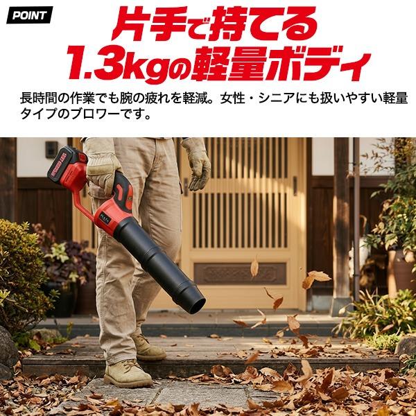 ブロワー 充電式 小型 ハンディブロワー コードレス エアブロワー AC