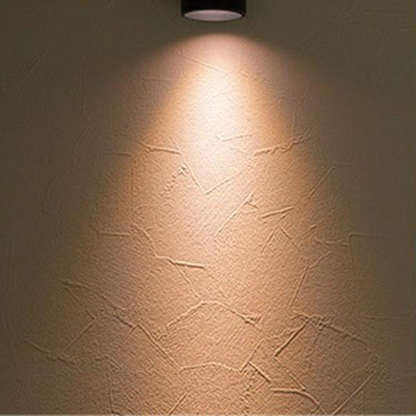 LED内蔵スポットライト 10個セットBKー電球色 ダクトレール スポットライト LED 昼光色 1430lm 電球色 1300lm 照明