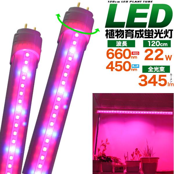 植物育成用LED蛍光灯 40W型/120cm G13 グロー式工事不要 室内栽培 水耕
