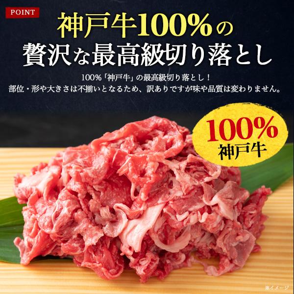神戸ビーフ 神戸牛 切り落とし 牛肉 720g 訳あり 最高級A5等級 小分け