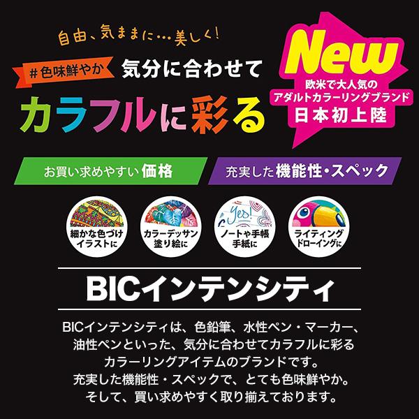 BiC 水性ペン 筆ペン 塗り絵 デュアルチップ マーカー 11色セット BiC 水性ペン 筆ペン 塗り絵 デュアルチップ マーカー 11色 2