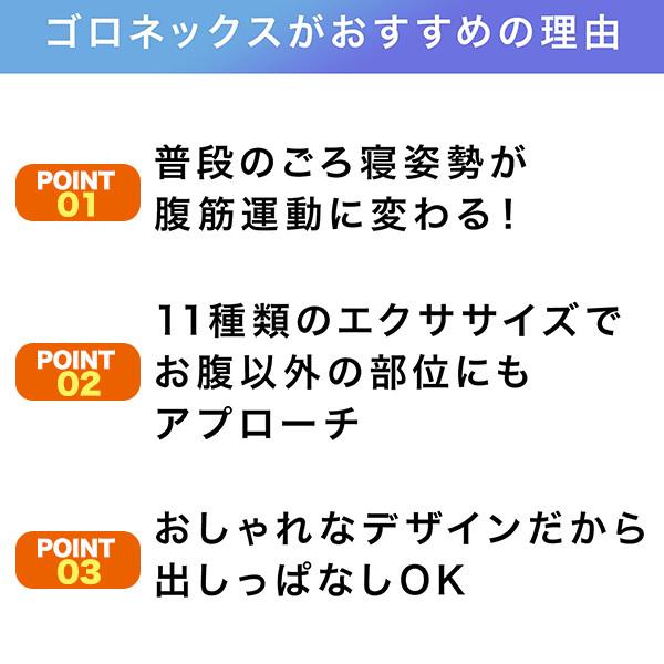 ショップジャパン（Shop Japan） ゴロネックス 座椅子型フィットネス