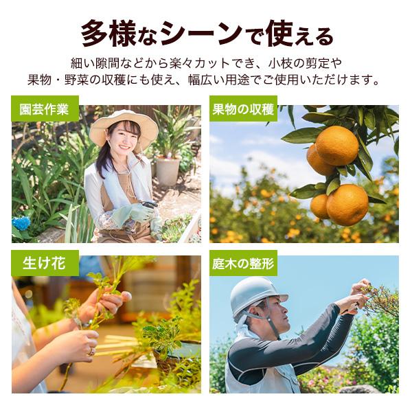 剪定ばさみ 芽切鋏 園芸用 芽切り ハサミ はさみ 植木 庭 生け花 収穫