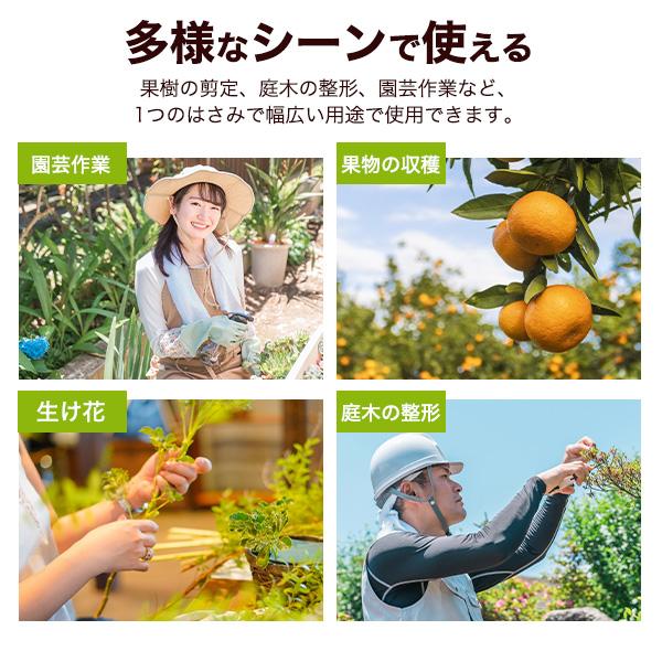剪定ばさみ 剪定バサミ ステンレス 園芸用 剪定鋏 ハサミ はさみ 植木