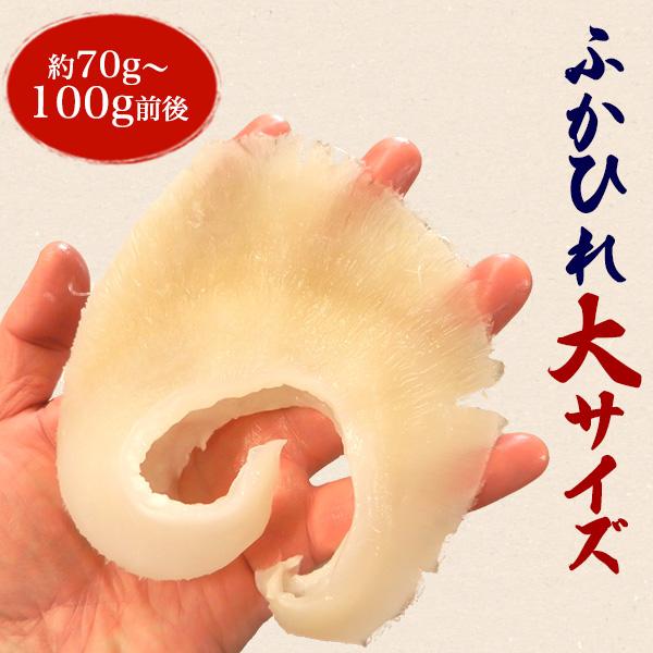 ふかひれ フカヒレ 背びれ 大 70〜100g×2枚 姿煮 かけダレ付 冷凍 国産