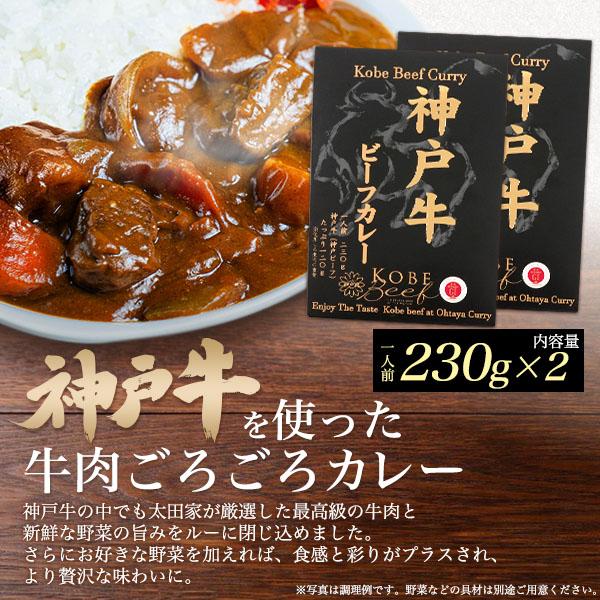 レトルトカレー 神戸牛 ビーフカレー 2袋セット 230g×2 高級 国産 牛肉