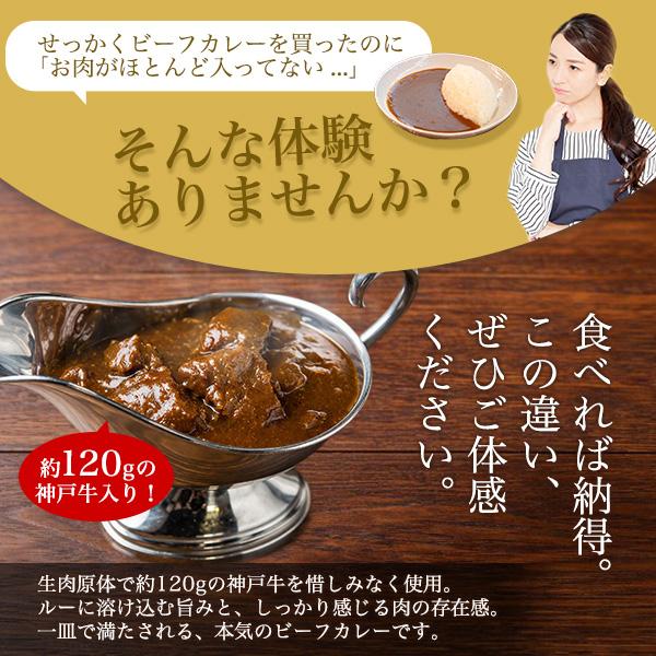 レトルトカレー 神戸牛 ビーフカレー 2袋セット 230g×2 高級 国産 牛肉