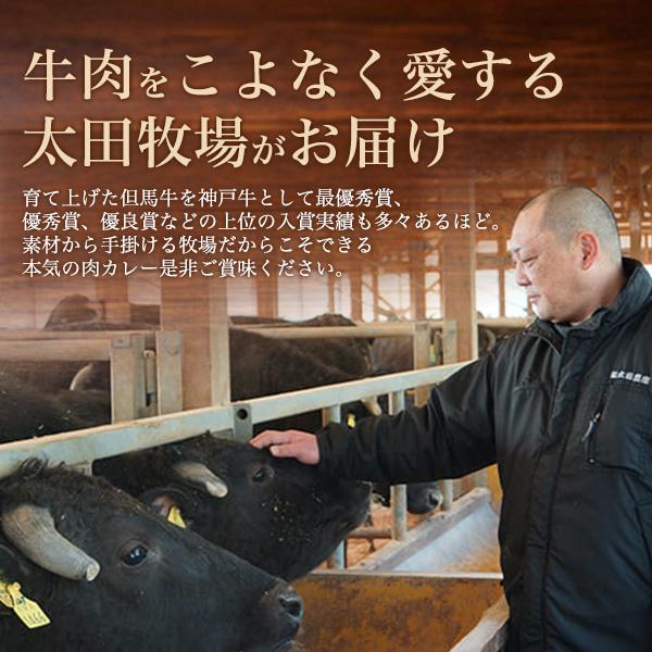 レトルトカレー 神戸牛 ビーフカレー 2袋セット 230g×2 高級 国産 牛肉