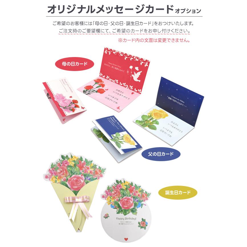 あきちゃん　お菓子ゼリー詰合せ 中島大祥堂 お中元2026 ゼリー ギフト ピッコロドルチェ 20個入