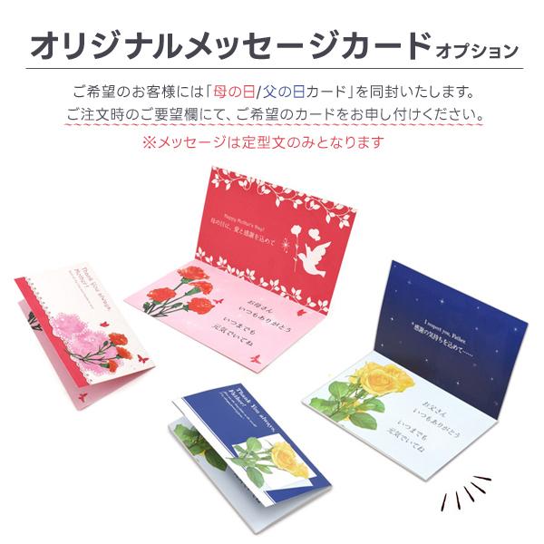 のれん栗 栗かのこ ギフト 詰め合わせ 8個入 和菓子 お供え 老舗 河内駿河屋 小豆 個包装 退職 法事 香典返し 進物 贈答用 お茶請け 日持ち 常温 手土産 | 河内駿河屋 | 06