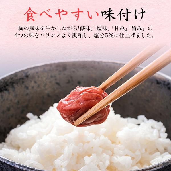 中田食品 梅干し 減塩 やわらか熟粒あっさり 2パックセット 南高梅