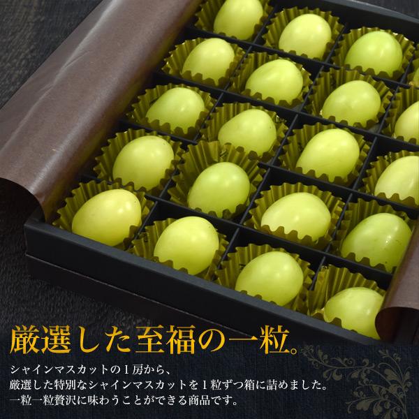 シャインマスカット 贈答用 20粒 Lサイズ 国産 秀品 ぶどう 果物