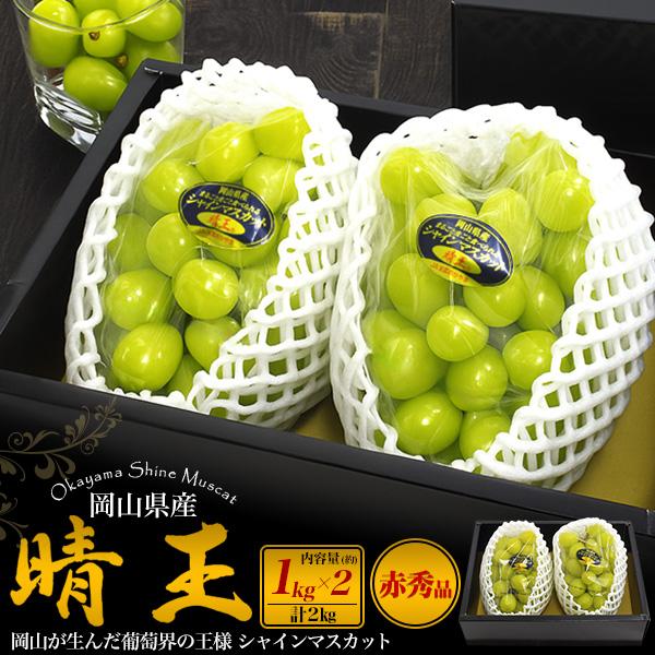 シャインマスカット 約2kg 晴王 岡山県産 赤秀 約1kg×2房 ぶどう 果物