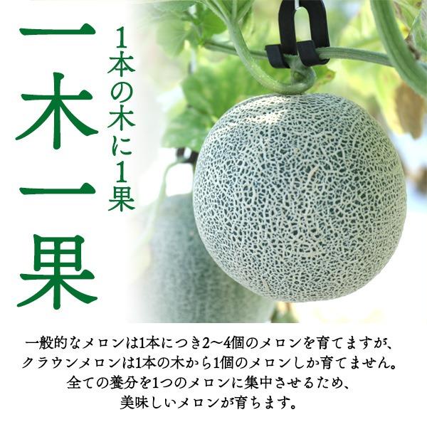 食品 訳ありメロン3個 高知県産