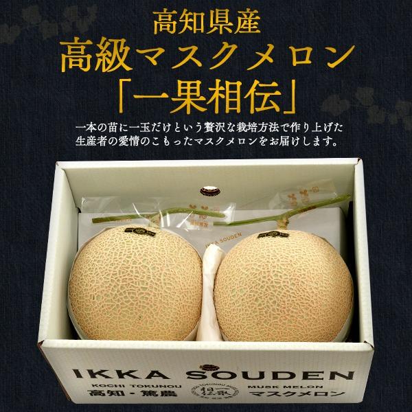 メロン ギフト マスクメロン 一果相伝 高知県産 2玉 大玉 合計約3.2kg