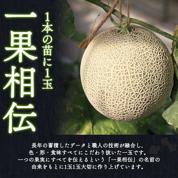 メロン ギフト マスクメロン 一果相伝 高知県産 2玉 大玉 合計約3.2kg