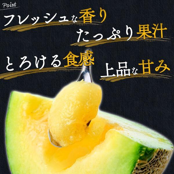メロン ギフト マスクメロン 一果相伝 高知県産 2玉 大玉 合計約3.2kg