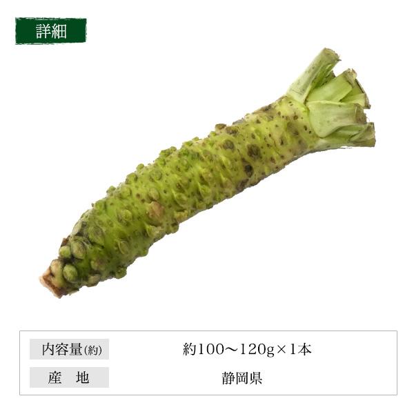 静岡県産 本わさび 生わさび 大サイズ 1本 約100〜120g 国産 ワサビ