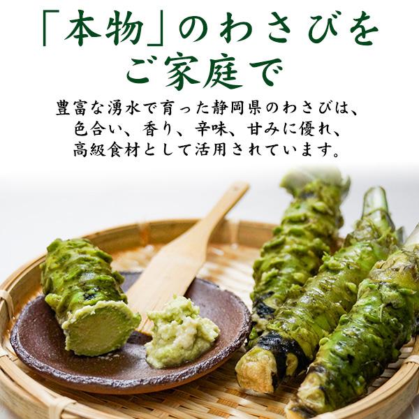 静岡県産 本わさび 生わさび 大サイズ 1本 約100〜120g 国産 ワサビ