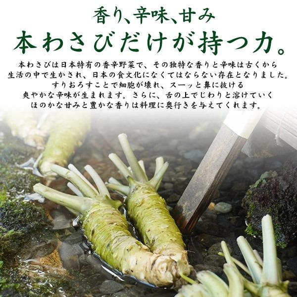 本わさび 大 1本 約100〜120g 静岡 生わさび 冷蔵 ワサビ 山葵 国産