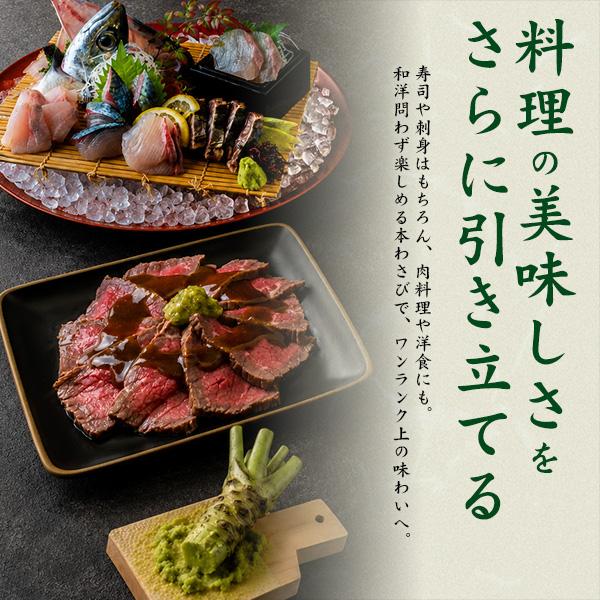 静岡県産 本わさび 生わさび 大サイズ 1本 約100〜120g 国産 ワサビ